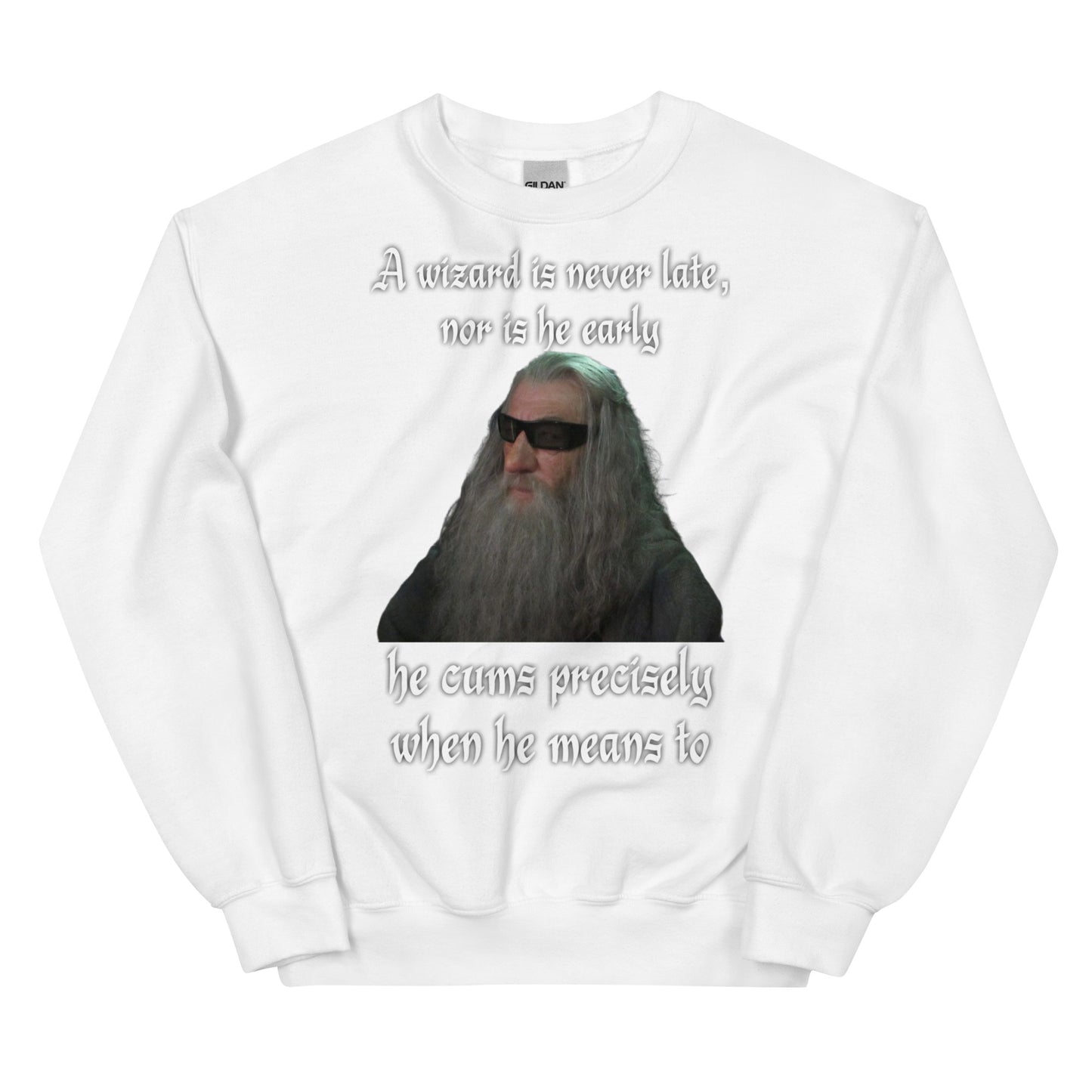 A wizard is never late (sweatshirt)