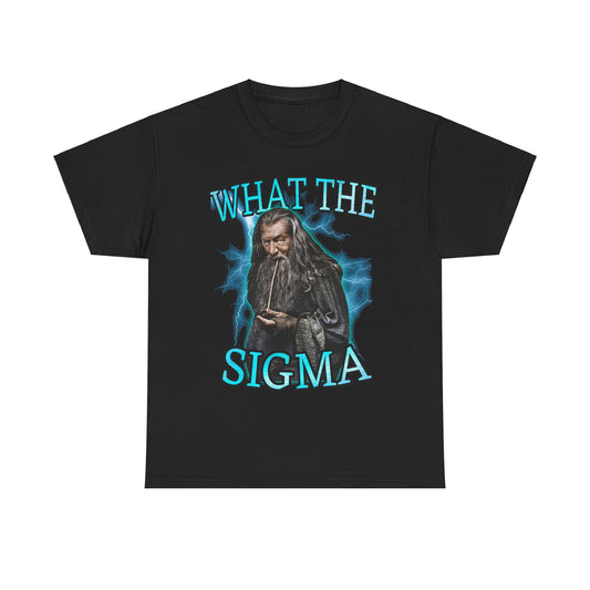 What the sigma